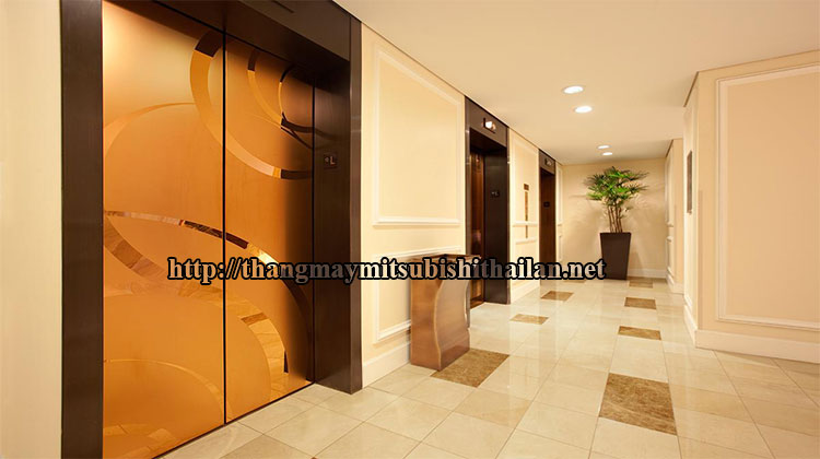 Thang máy tải khách